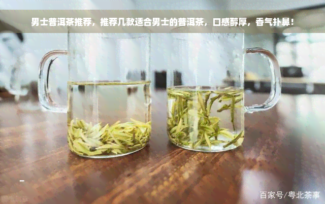 男士普洱茶推荐，推荐几款适合男士的普洱茶，口感醇厚，香气扑鼻！