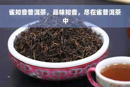 雀知音普洱茶，品味知音，尽在雀普洱茶中