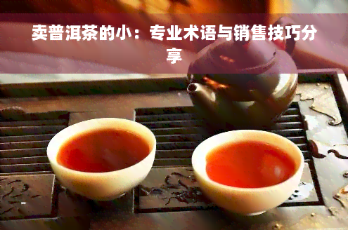 卖普洱茶的小：专业术语与销售技巧分享