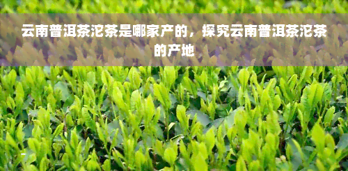 云南普洱茶沱茶是哪家产的，探究云南普洱茶沱茶的产地