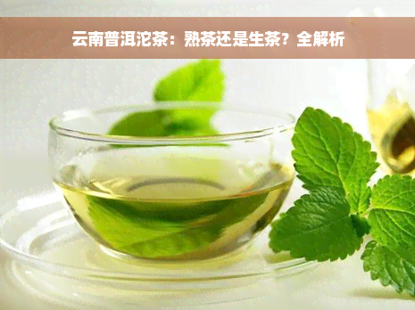 云南普洱沱茶：熟茶还是生茶？全解析