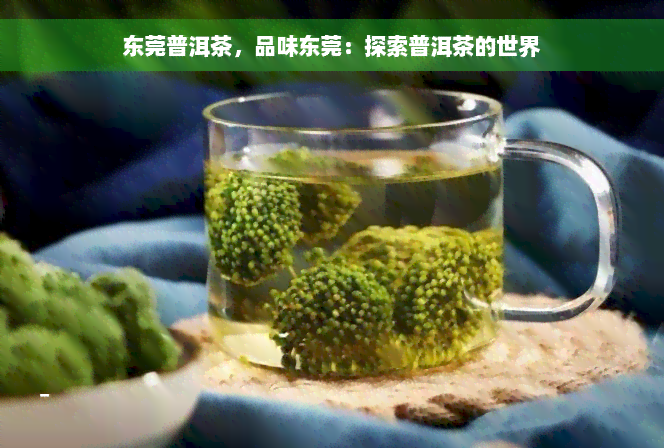 东莞普洱茶，品味东莞：探索普洱茶的世界