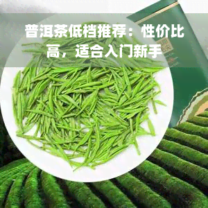 普洱茶低档推荐：性价比高，适合入门新手