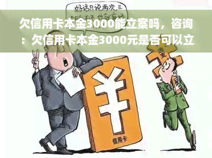 欠信用卡本金3000能立案吗，咨询：欠信用卡本金3000元是否可以立案？