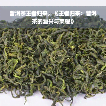 普洱茶王者归来，《王者归来：普洱茶的复兴与荣耀》