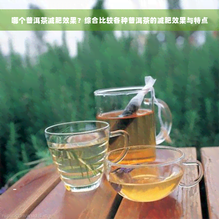 哪个普洱茶减肥效果？综合比较各种普洱茶的减肥效果与特点