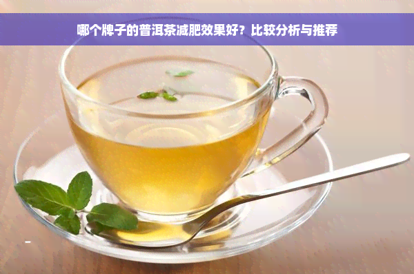 哪个牌子的普洱茶减肥效果好？比较分析与推荐