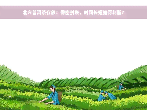 北方普洱茶存放：需密封袋，时间长短如何判断？