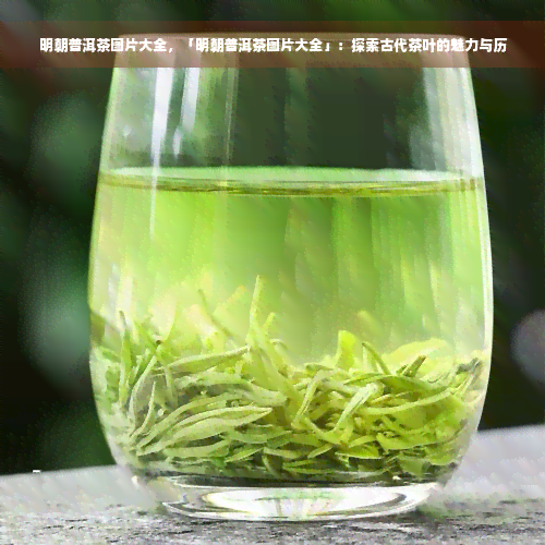 明朝普洱茶图片大全，「明朝普洱茶图片大全」：探索古代茶叶的魅力与历