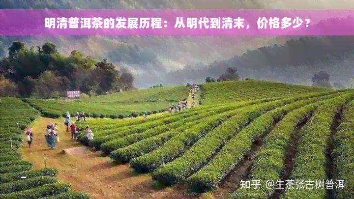 明清普洱茶的发展历程：从明代到清末，价格多少？