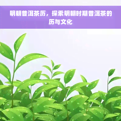 明朝普洱茶历，探索明朝时期普洱茶的历与文化