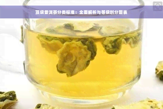 顶级普洱茶分类标准：全面解析与等级划分图表