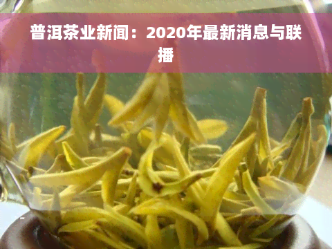 普洱茶业新闻：2020年最新消息与联播