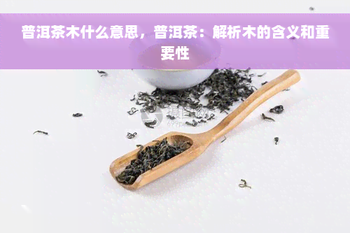 普洱茶木什么意思，普洱茶：解析木的含义和重要性