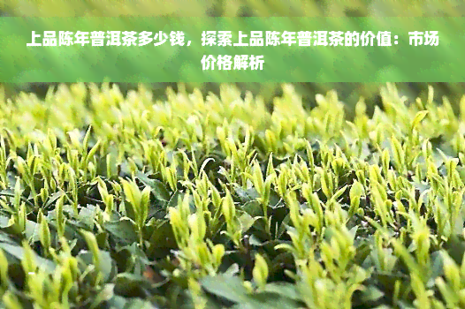 上品陈年普洱茶多少钱，探索上品陈年普洱茶的价值：市场价格解析