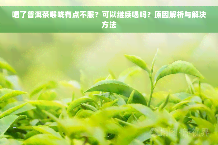 喝了普洱茶喉咙有点不服？可以继续喝吗？原因解析与解决方法