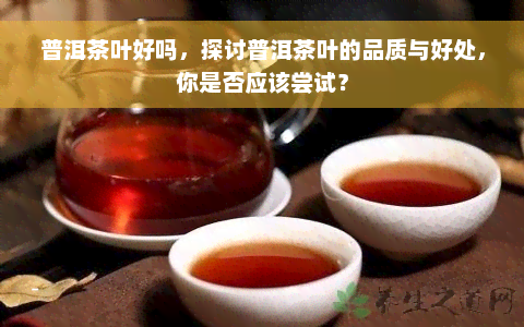 普洱茶叶好吗，探讨普洱茶叶的品质与好处，你是否应该尝试？