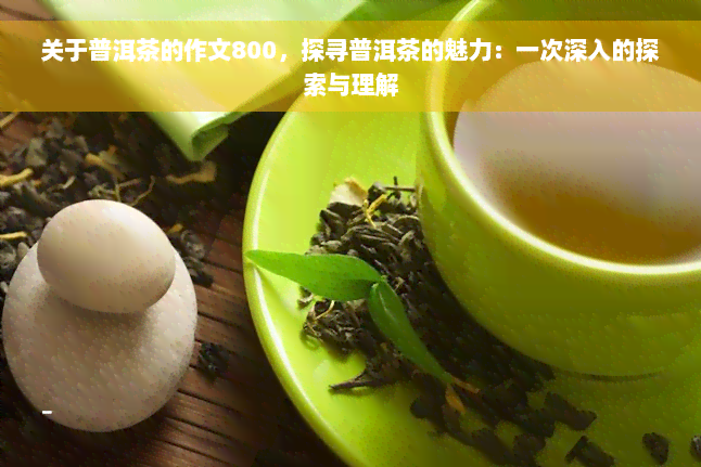 关于普洱茶的作文800，探寻普洱茶的魅力：一次深入的探索与理解