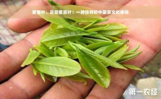 繁茶叶，品尝繁茶叶：一种独特的中国茶文化体验