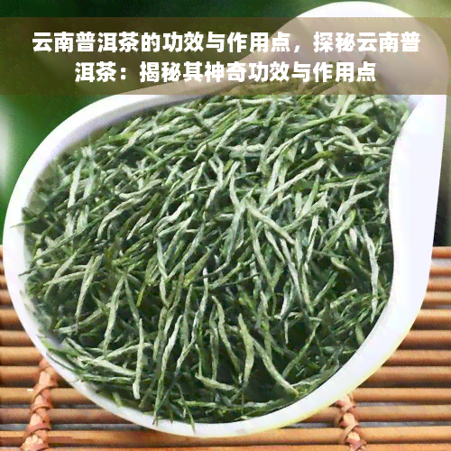 云南普洱茶的功效与作用点，探秘云南普洱茶：揭秘其神奇功效与作用点