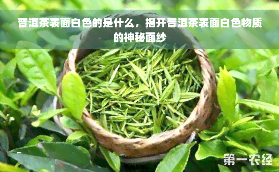 普洱茶表面白色的是什么，揭开普洱茶表面白色物质的神秘面纱