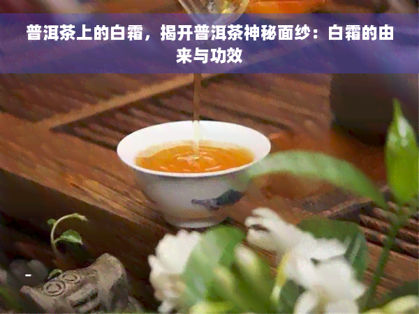 普洱茶上的白霜，揭开普洱茶神秘面纱：白霜的由来与功效