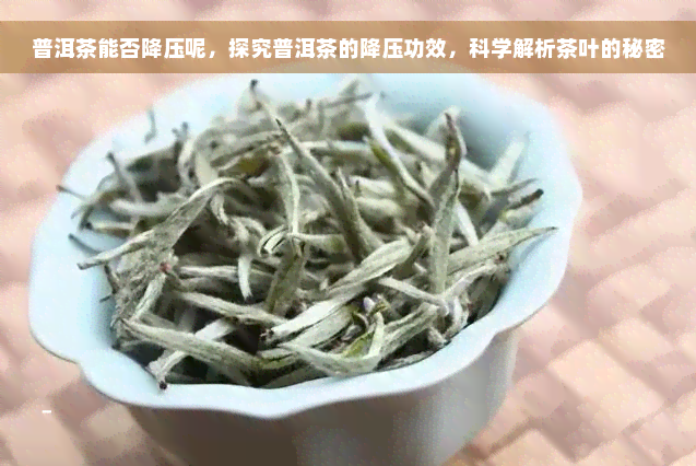 普洱茶能否降压呢，探究普洱茶的降压功效，科学解析茶叶的秘密