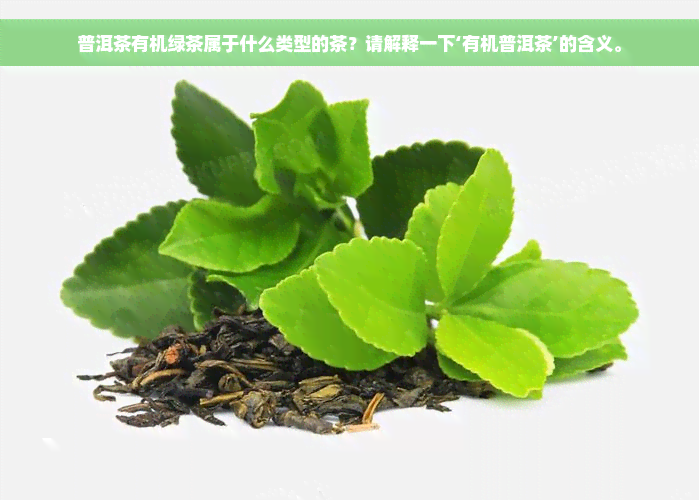 普洱茶有机绿茶属于什么类型的茶？请解释一下‘有机普洱茶’的含义。