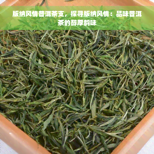 版纳风情普洱茶支，探寻版纳风情：品味普洱茶的醇厚韵味