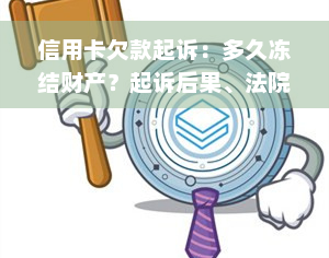 信用卡欠款起诉：多久冻结财产？起诉后果、法院步骤、是否还本金及诉讼时效？由谁前往家中执行？