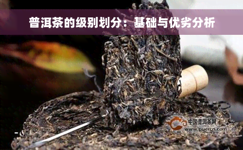 普洱茶的级别划分：基础与优劣分析