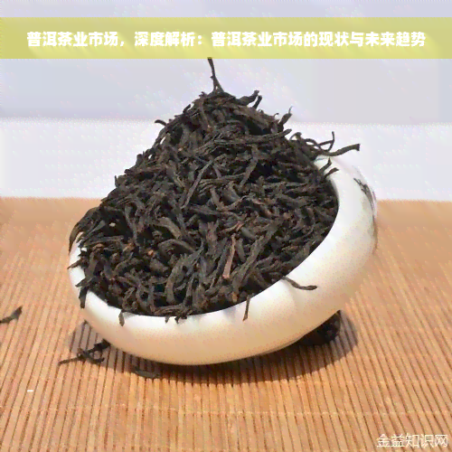 普洱茶业市场，深度解析：普洱茶业市场的现状与未来趋势