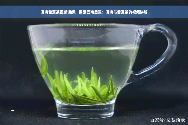 洱海普洱茶视频讲解，探索云南美景：洱海与普洱茶的视频讲解