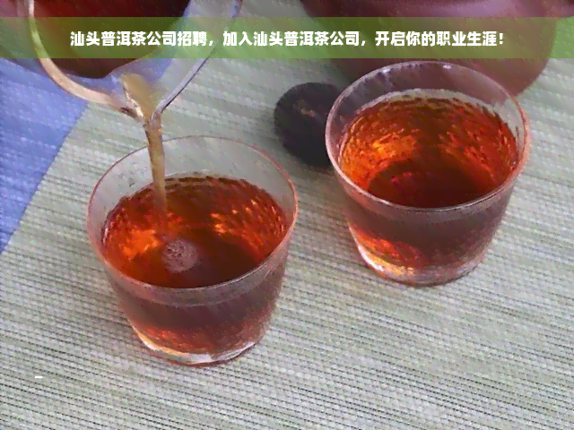 汕头普洱茶公司招聘，加入汕头普洱茶公司，开启你的职业生涯！