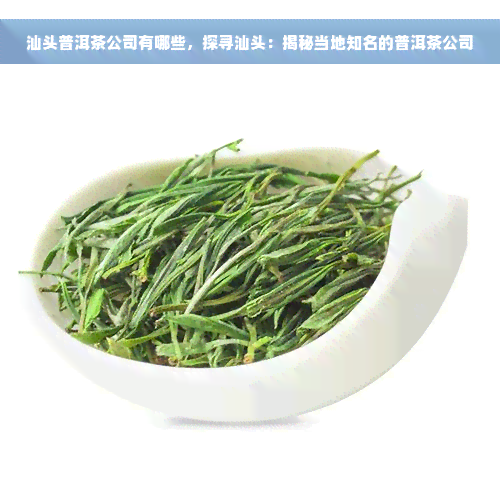 汕头普洱茶公司有哪些，探寻汕头：揭秘当地知名的普洱茶公司