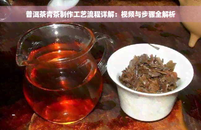 普洱茶青茶制作工艺流程详解：视频与步骤全解析