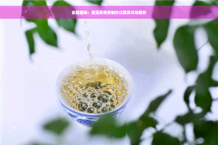 全程揭秘：普洱茶青茶制作过程及功效解析