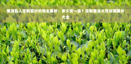 普洱私人定制茶叶价格全解析：多少钱一盒？定制茶含义及封面图片大全