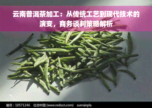 云南普洱茶加工：从传统工艺到现代技术的演变，商务谈判策略解析