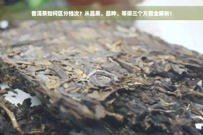 普洱茶如何区分档次？从品质、品种、等级三个方面全解析！