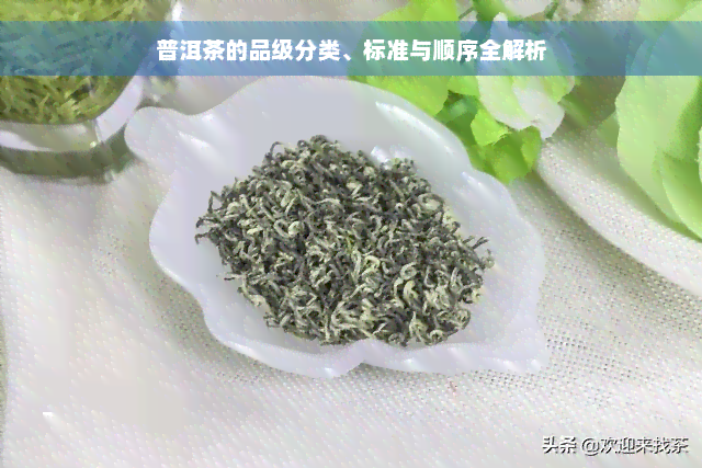 普洱茶的品级分类、标准与顺序全解析