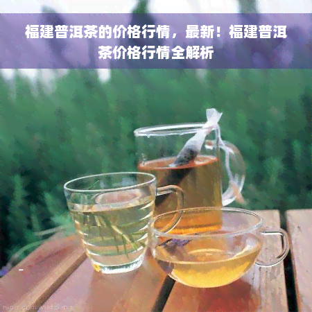 福建普洱茶的价格行情，最新！福建普洱茶价格行情全解析