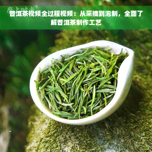 普洱茶视频全过程视频：从采摘到泡制，全面了解普洱茶制作工艺