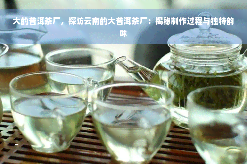 大的普洱茶厂，探访云南的大普洱茶厂：揭秘制作过程与独特韵味