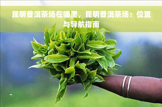 昆明普洱茶场在哪里，昆明普洱茶场：位置与导航指南