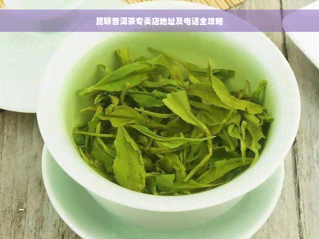 昆明普洱茶专卖店地址及电话全攻略