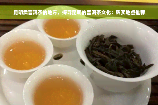 昆明卖普洱茶的地方，探寻昆明的普洱茶文化：购买地点推荐