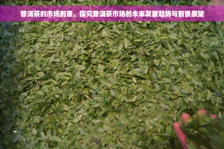 普洱茶的市场前景，探究普洱茶市场的未来发展趋势与前景展望