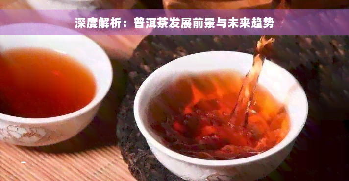 深度解析：普洱茶发展前景与未来趋势