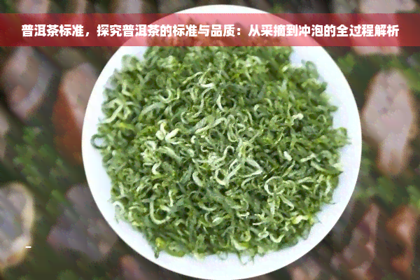 普洱茶标准，探究普洱茶的标准与品质：从采摘到冲泡的全过程解析